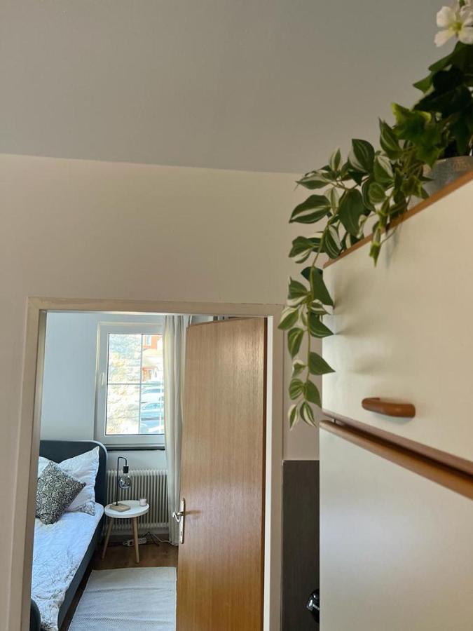 Moderne Ferienwohnung Nahe Zentrum Waidhofen/Ybbs Exteriör bild